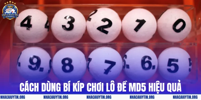 Cách dùng bí kíp chơi lô đề MD5 hiệu quả
